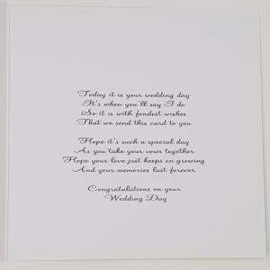 Personalised Funny Wedding Day Card Bride And Groom Design Any Couple (SKU736)
