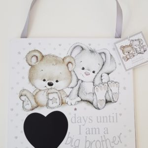 New Baby Arrival Big Sister / Brother Daily Count Down Wooden Wall Hanging Plaque (SKU130)