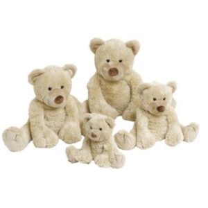 Bear Boogy Plush Toy, Tuttle & Swaddle Baby Gift / Sibling Gift Set & Complimentary Greeting Card (SKU598)