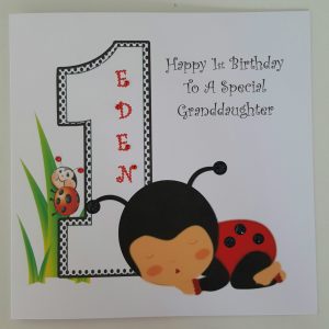 Personalised 1st Birthday Card Ladybird Granddaughter Any Relation Or Age (SKU405)