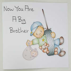 Personalised Big Brother Card On Birth Of Baby Boy Girl Any Sibling Or Baby Combination (SKU389)